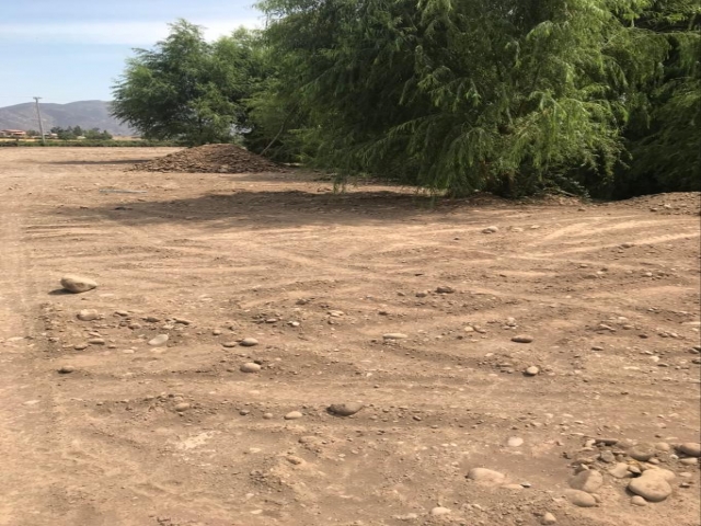 WhatsApp Image 2020-04-27 at 16.44.35.jpeg